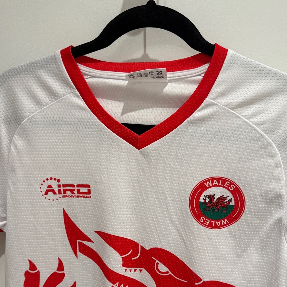 AIRO Wales Men's Jersey - Picture 3 of 4